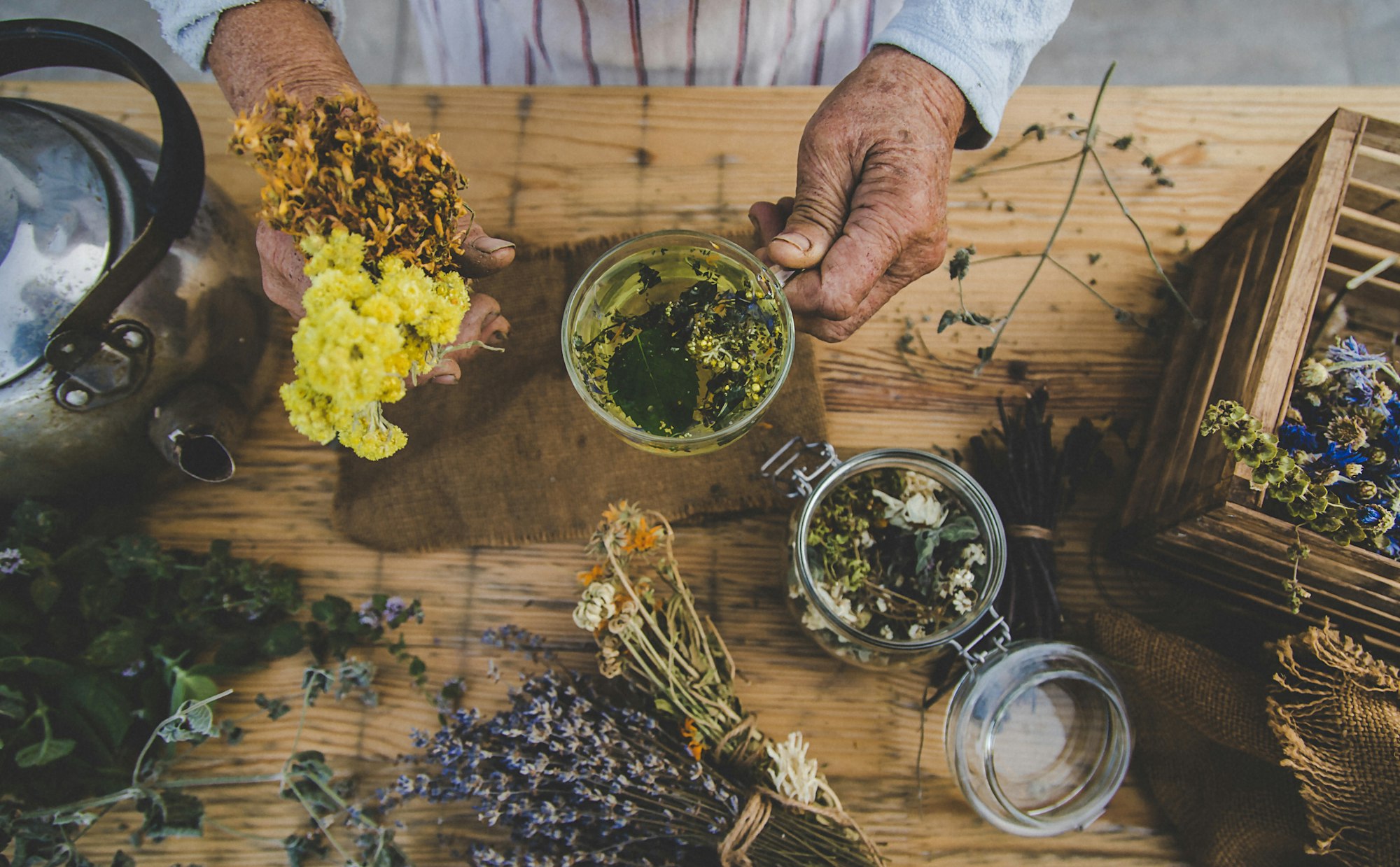 Grandmother makes tea with medicinal herbs. Selective focus.